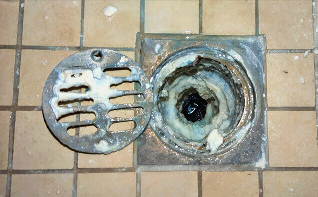 https://blockeddrainshocking.com.au/uploads/2025/07/blocked-shower-drains-33151.jpg