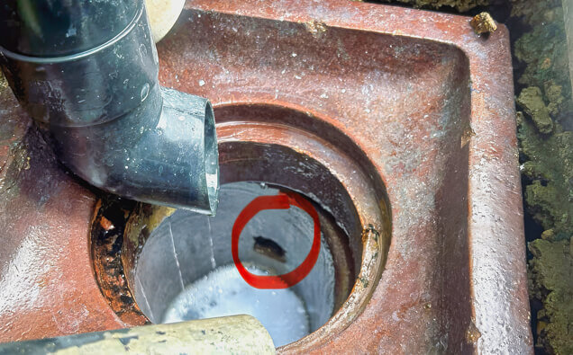 https://blockeddrainshocking.com.au/uploads/2025/07/hero-blocked-sewers-17074.jpg