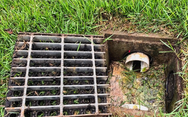 https://blockeddrainshocking.com.au/uploads/2025/07/hero-blocked-sewers-40191.jpg